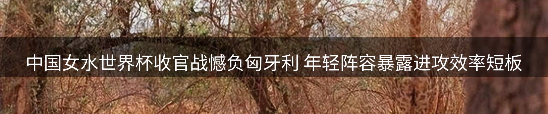 最新动态