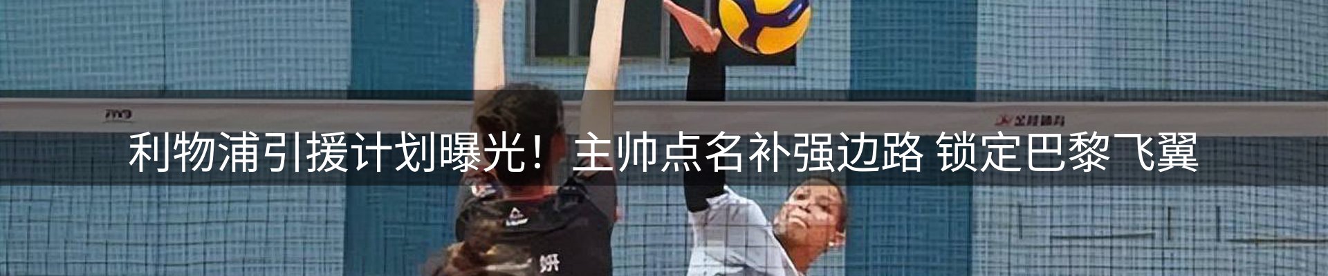 最新动态