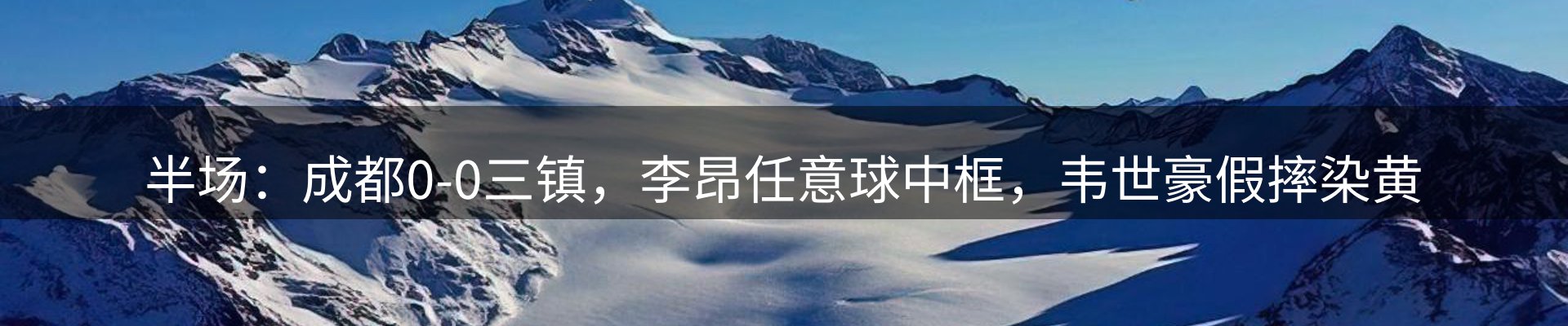 最新动态