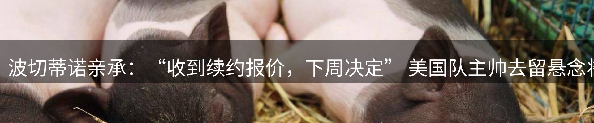 最新动态