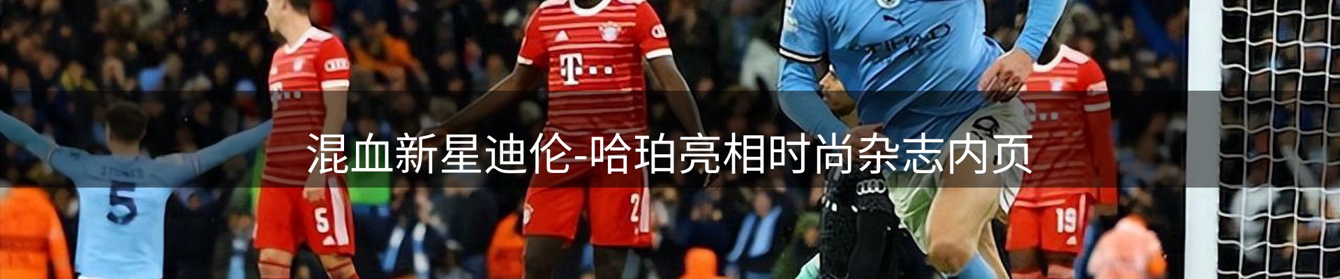 每日盘点
