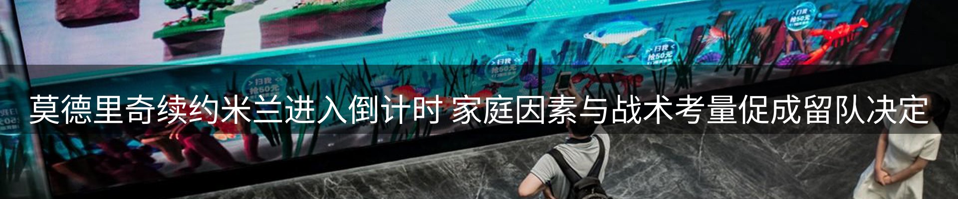 最新动态
