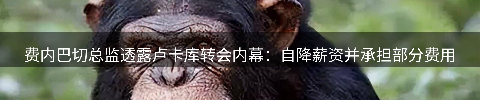 每日盘点